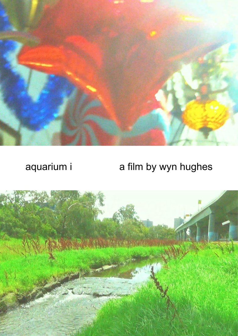Poster of aquarium i