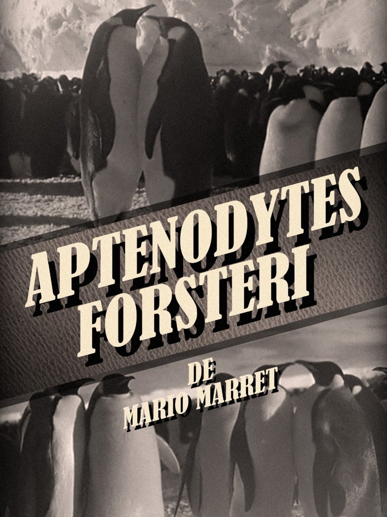 Poster of Aptenodytes Forsteri