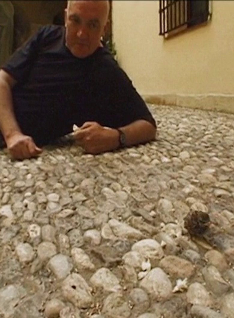 Poster of Scully in Malaga