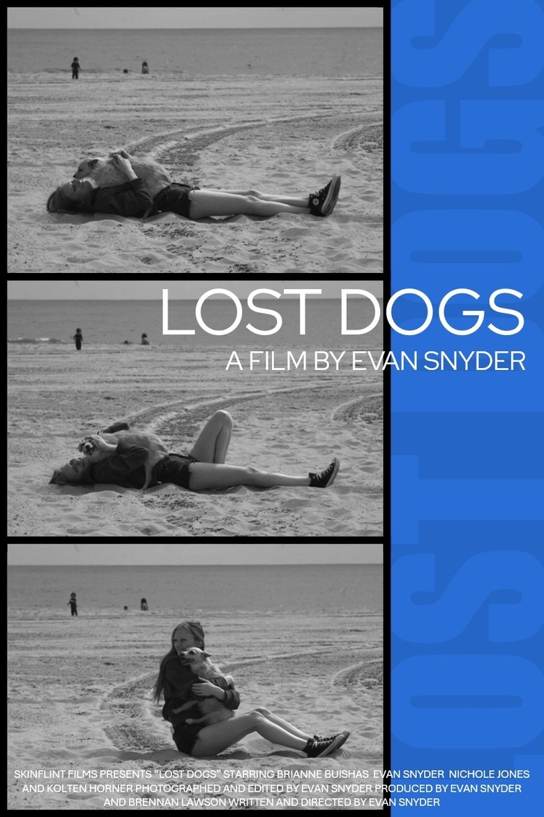 Poster of Lost Dogs