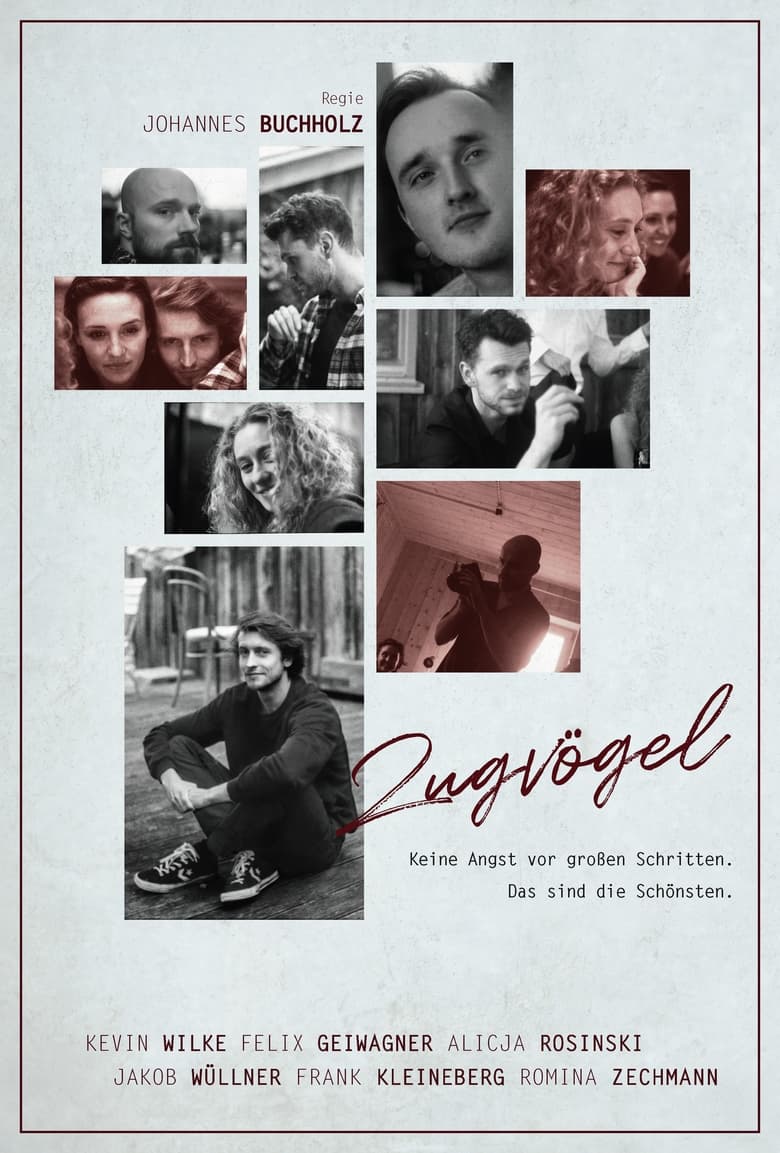 Poster of Zugvögel