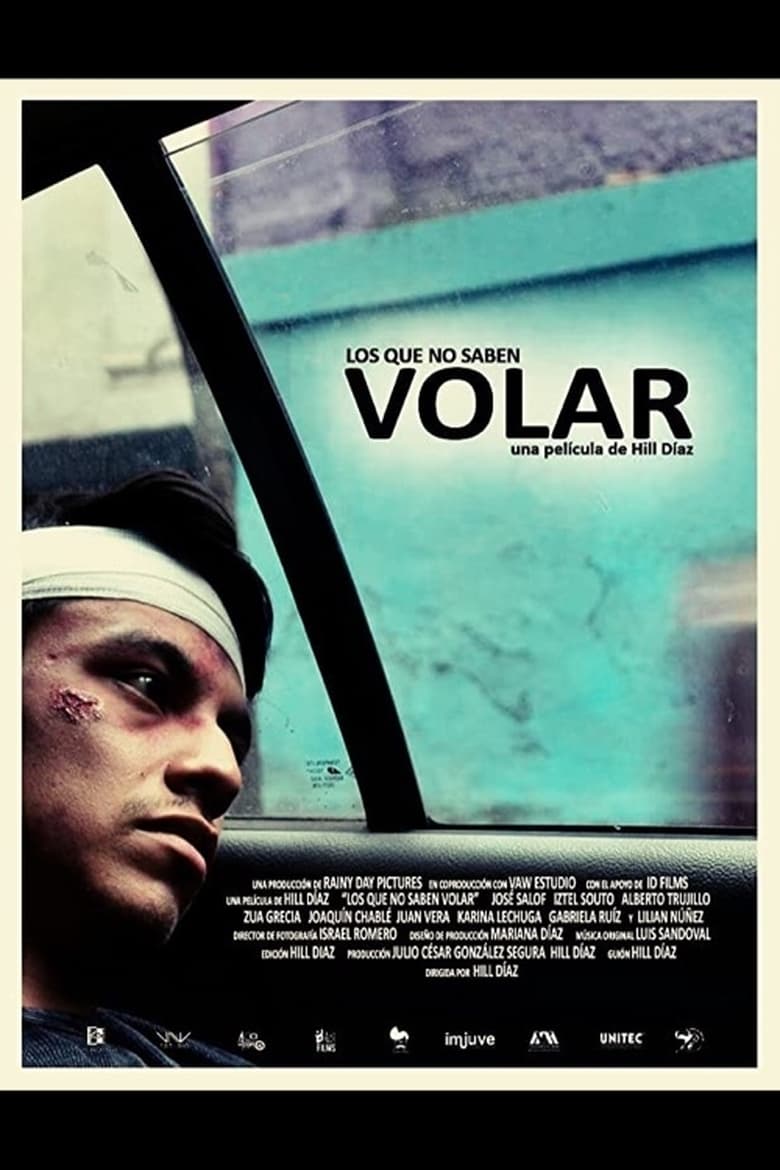 Poster of Los que no saben volar