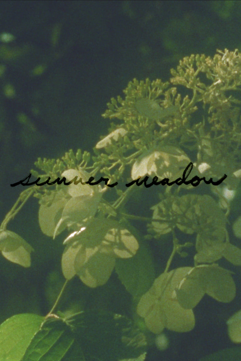 Poster of Summer Meadow