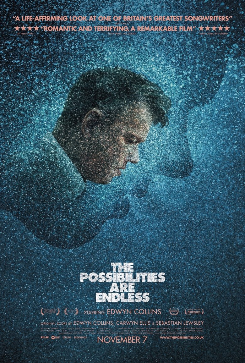 Poster of The Possibilities Are Endless