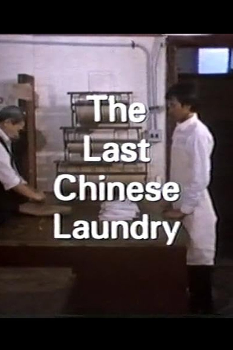 Poster of The Last Chinese Laundry