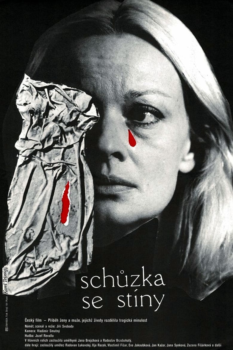 Poster of Schůzka se stíny