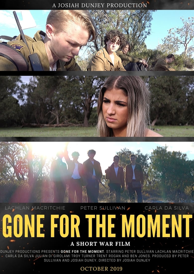 Poster of Gone for the Moment