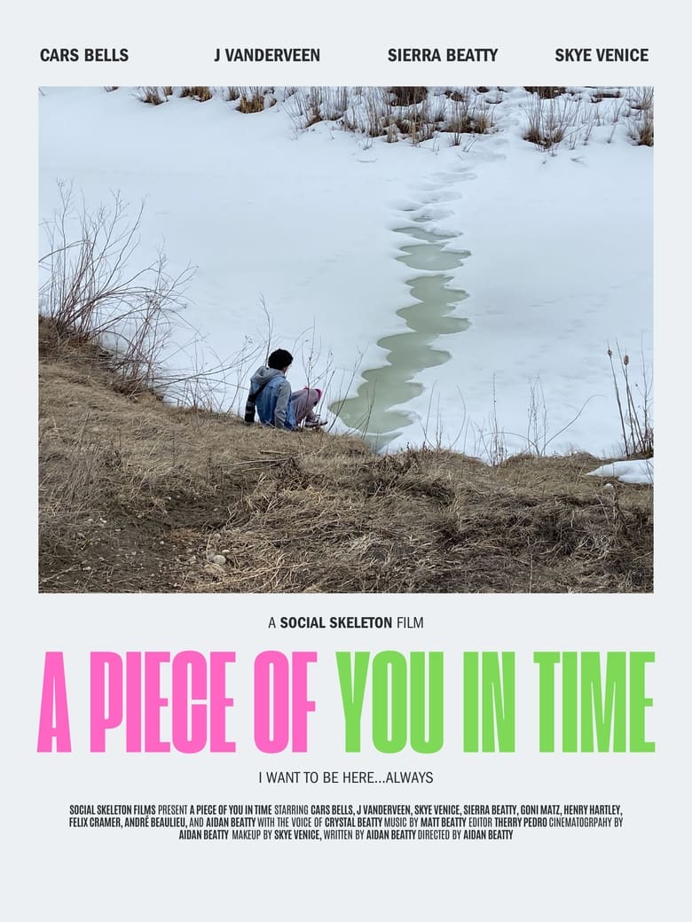 Poster of A Piece Of You In Time