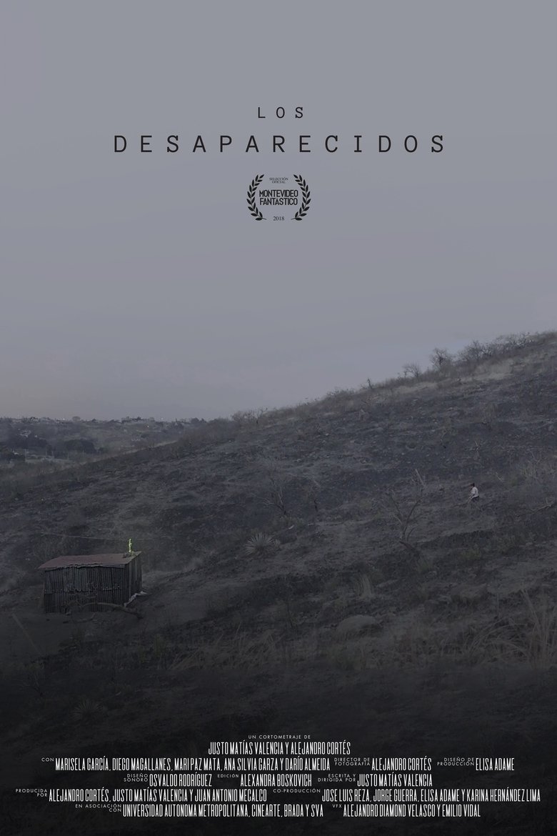 Poster of Los desaparecidos