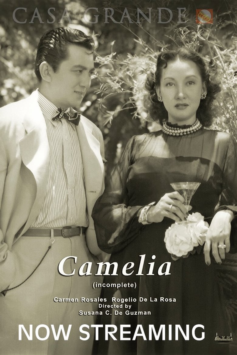 Poster of Camelia