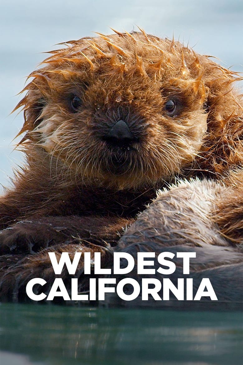 Poster of Wildest California