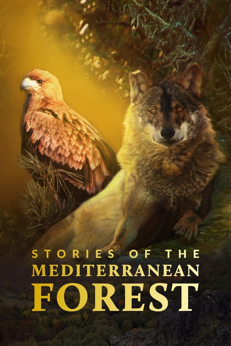 Poster of Stories of the Mediterranean Forest