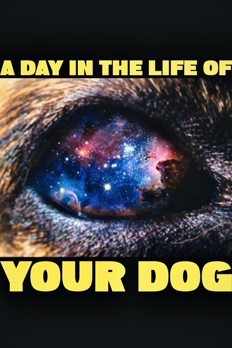 Poster of A Day In The Life Of Your Dog