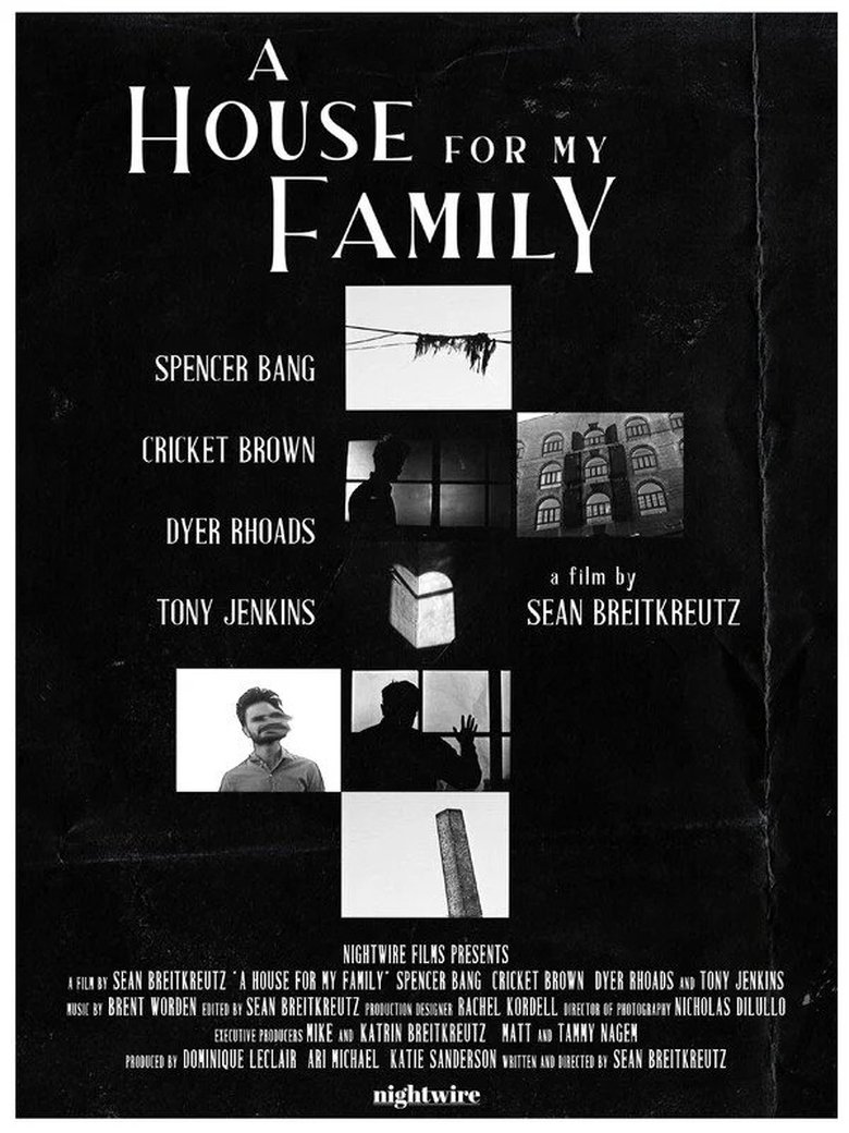 Poster of A House for My Family