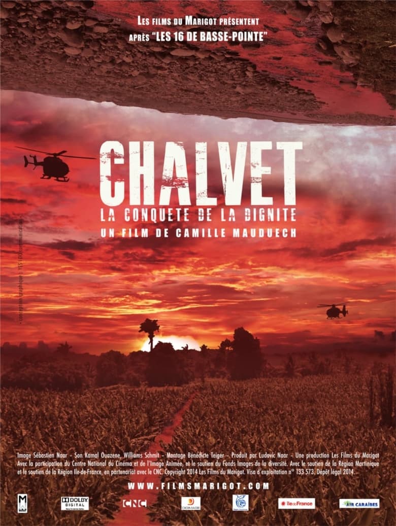 Poster of Chalvet, la conquête de la dignité