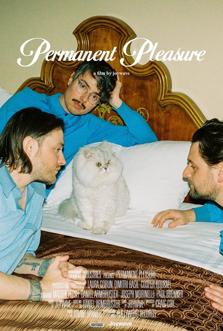 Poster of Permanent Pleasure