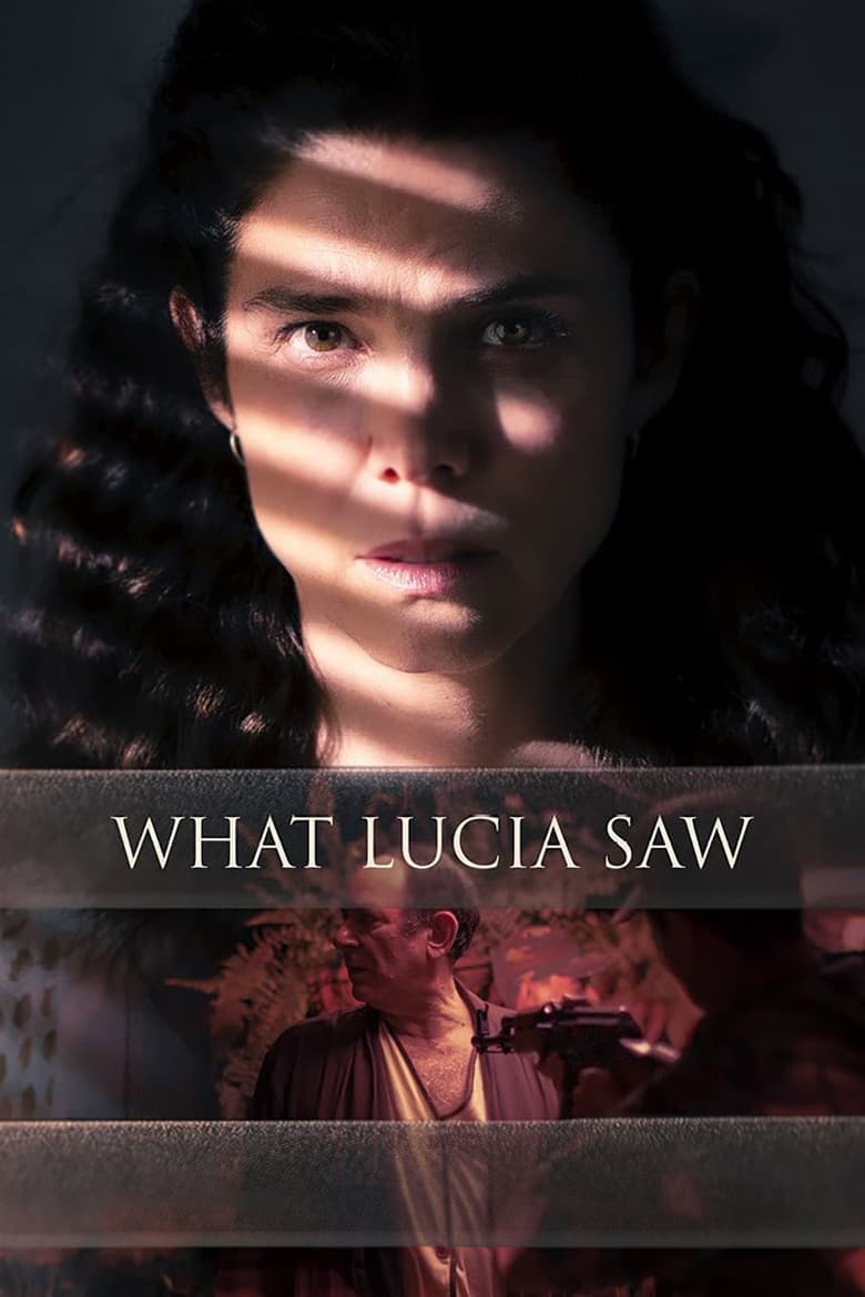 Poster of What Lucia Saw