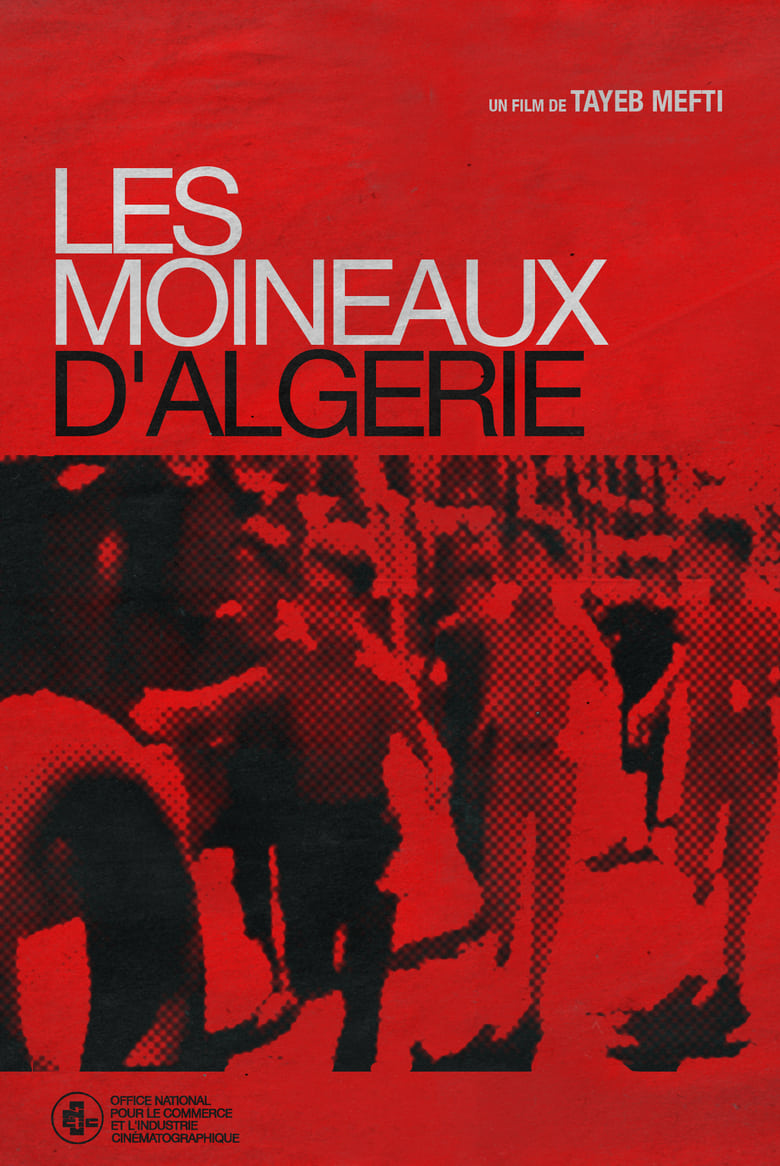 Poster of Les Moineaux d'Algérie