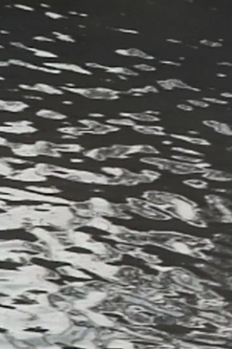 Poster of WATER SIDE
