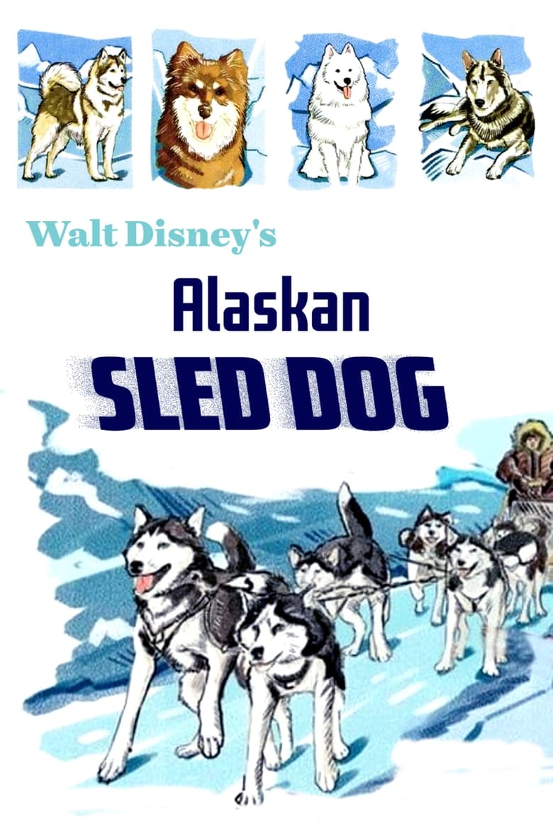 Poster of Alaskan Sled Dog