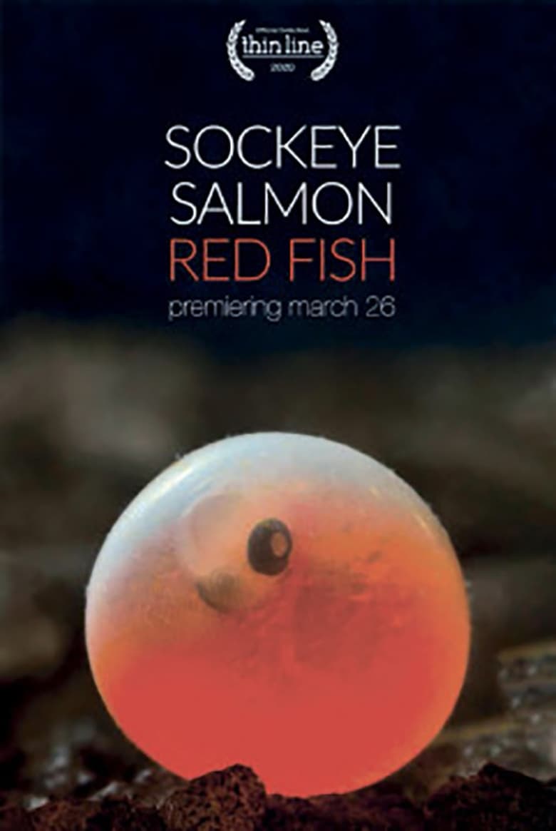 Poster of Sockeye Salmon. Red Fish