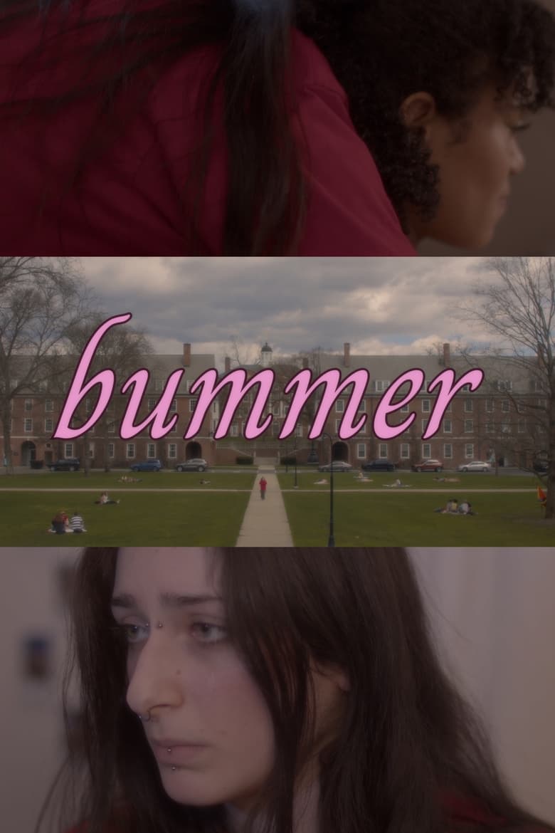 Poster of Bummer