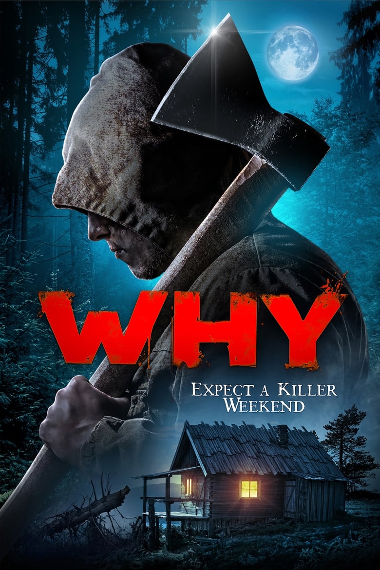 Poster of Why?