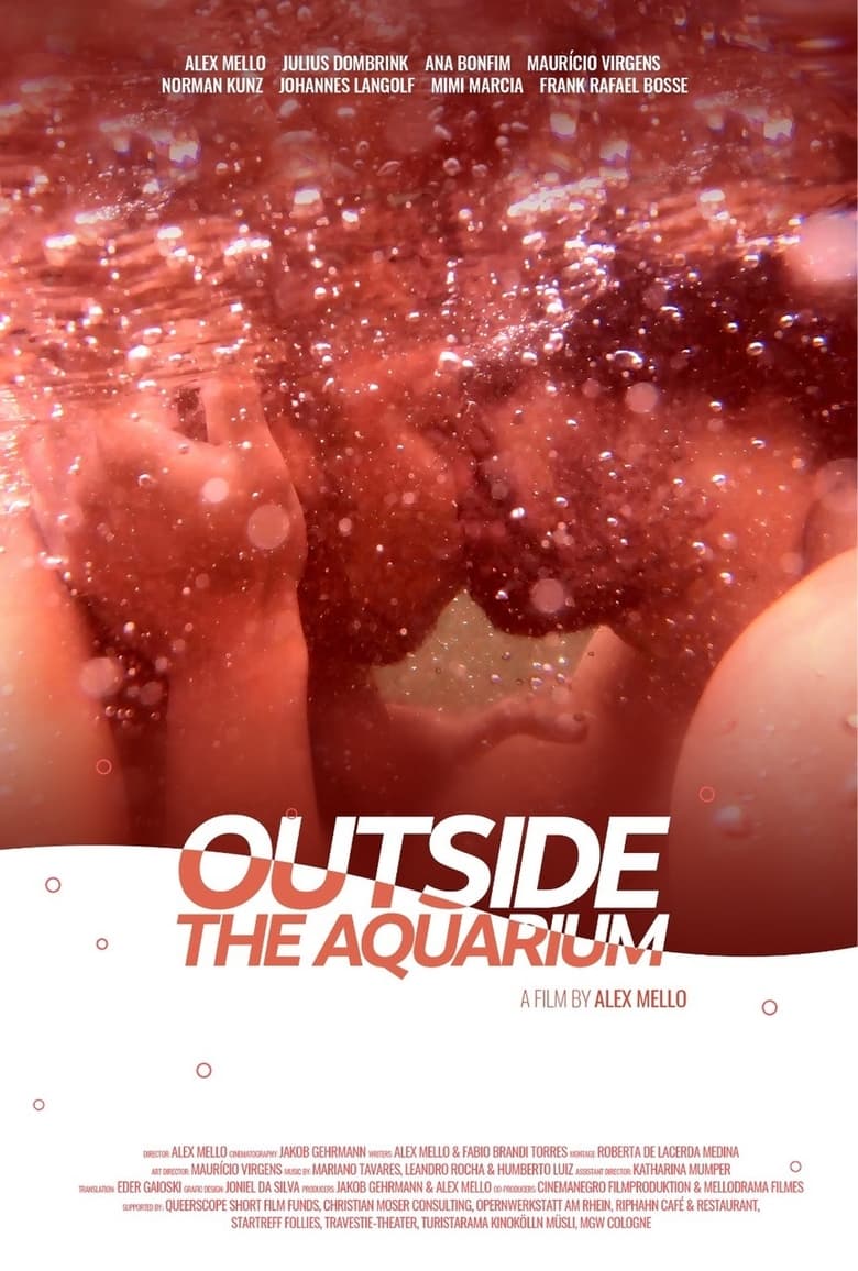 Poster of Outside the Aquarium