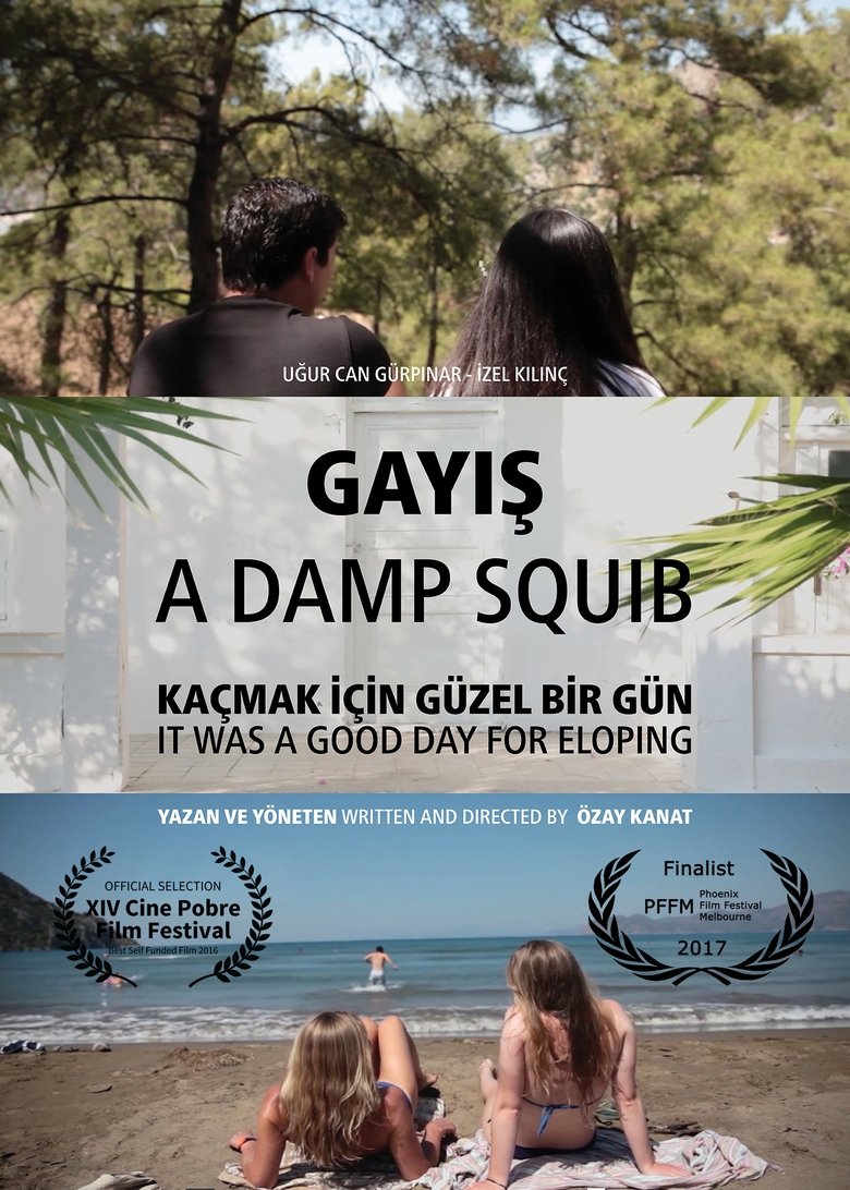 Poster of A Damp Squib