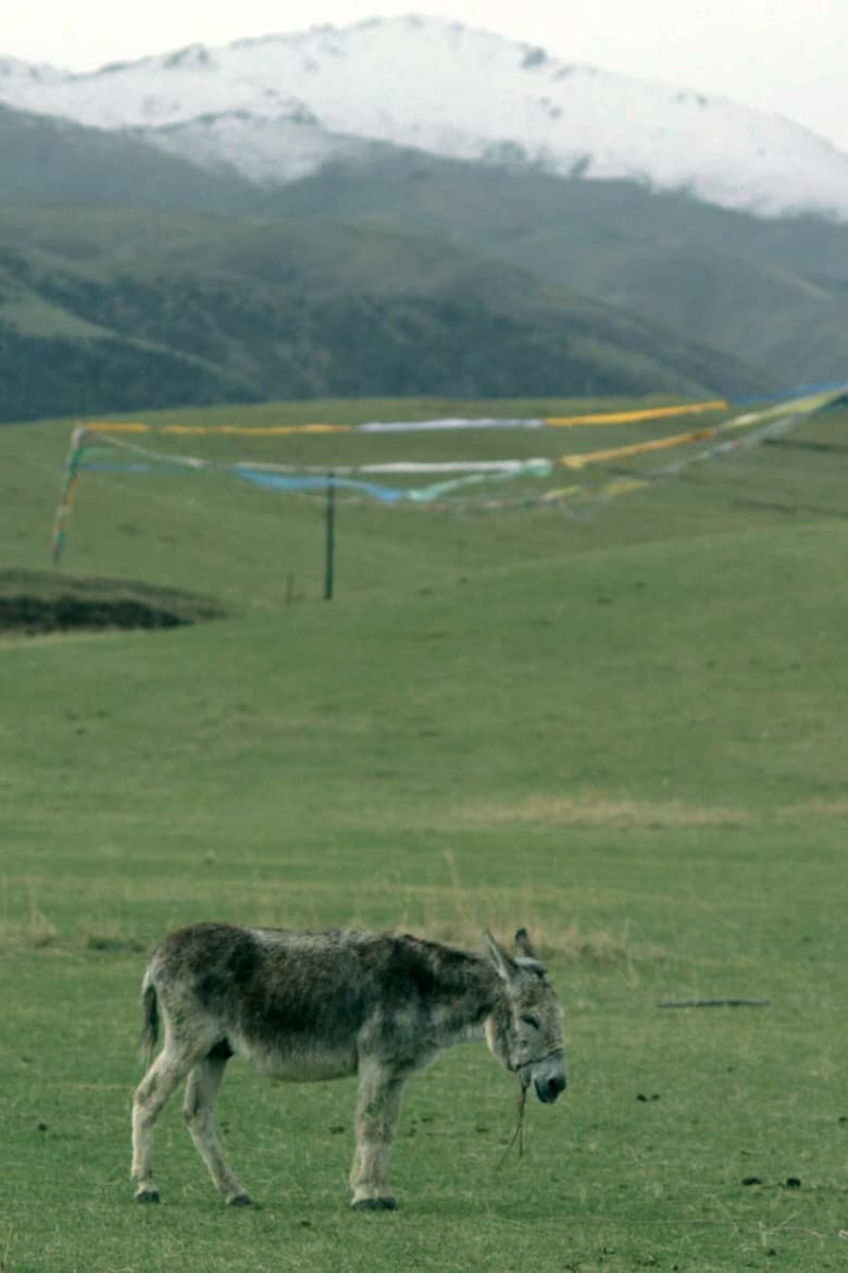 Poster of The Boys and the Donkey