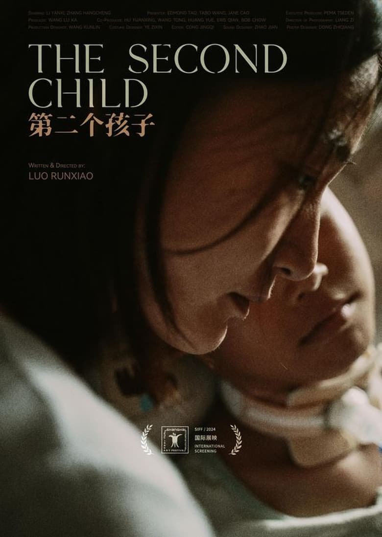 Poster of The Second Child