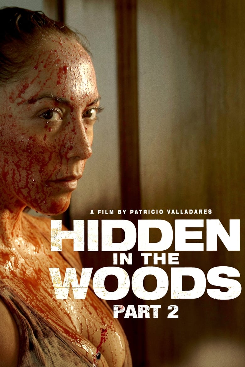 Poster of Hidden in the Woods 2