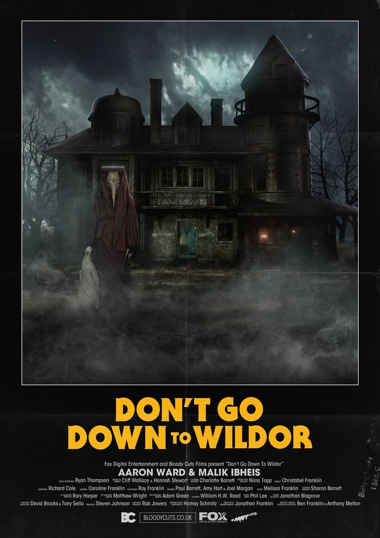 Poster of Don’t Go Down to Wildor