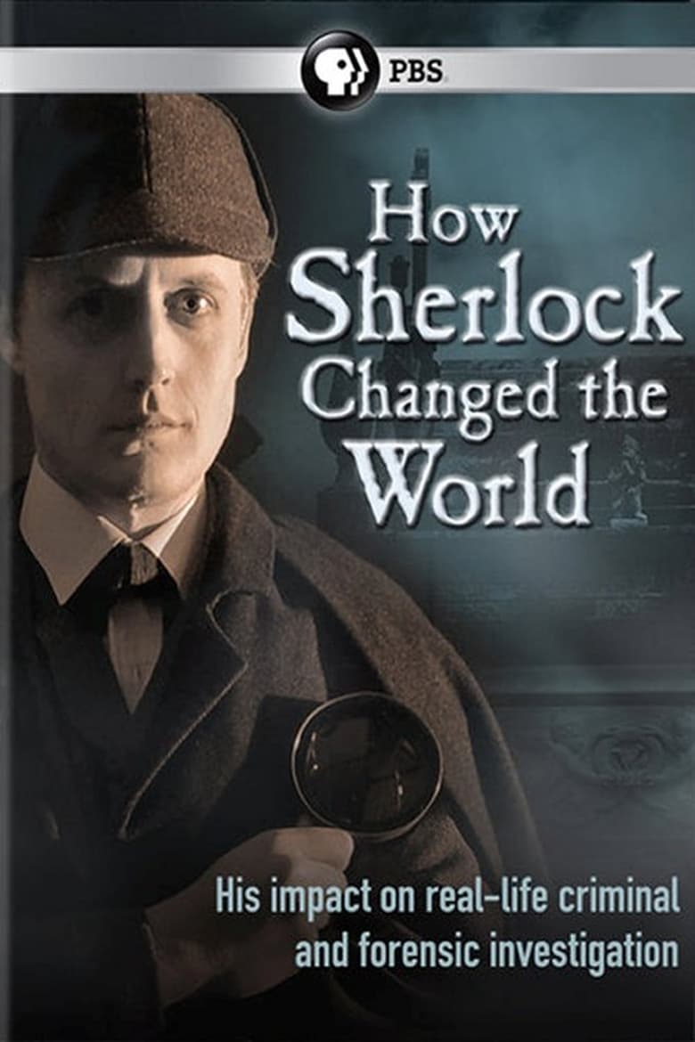 Poster of How Sherlock Changed the World