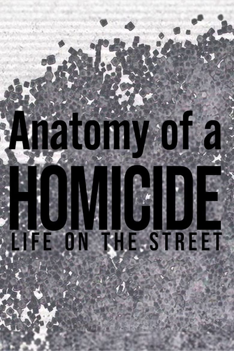 Poster of Anatomy of a 'Homicide: Life on the Street'