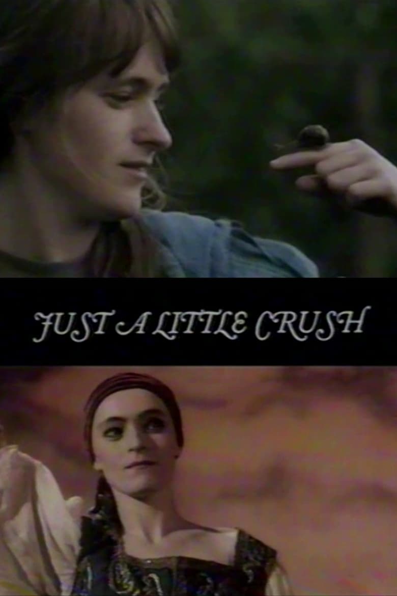 Poster of Just A Little Crush