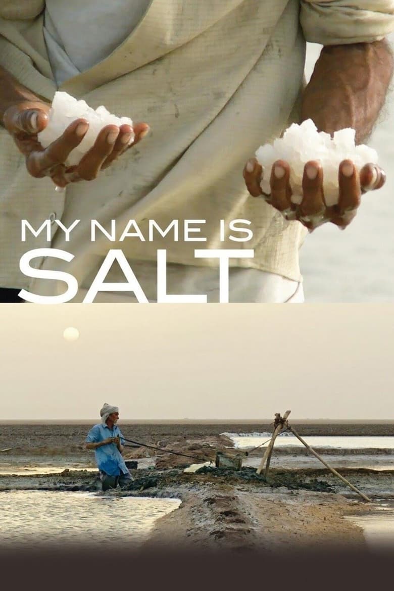 Poster of My Name Is Salt