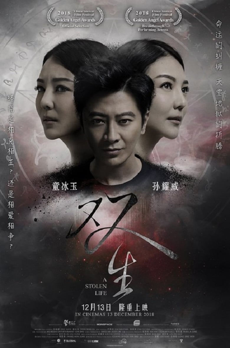 Poster of A Stolen Life