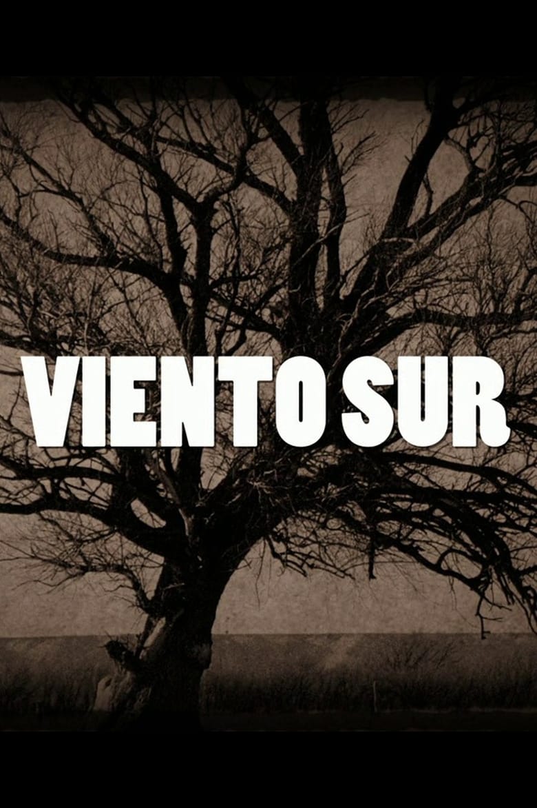 Poster of Viento Sur