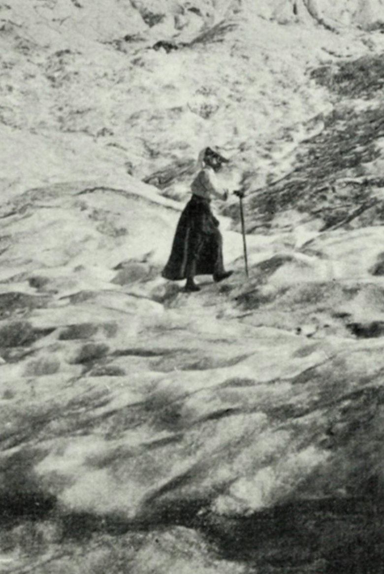 Poster of The Girl in the Snow