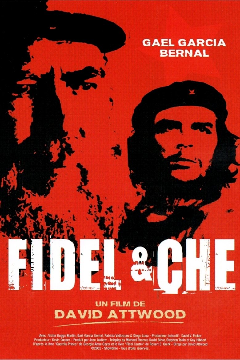 Poster of Fidel