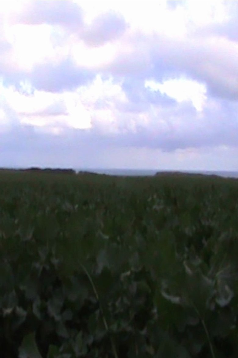 Poster of Little Ships