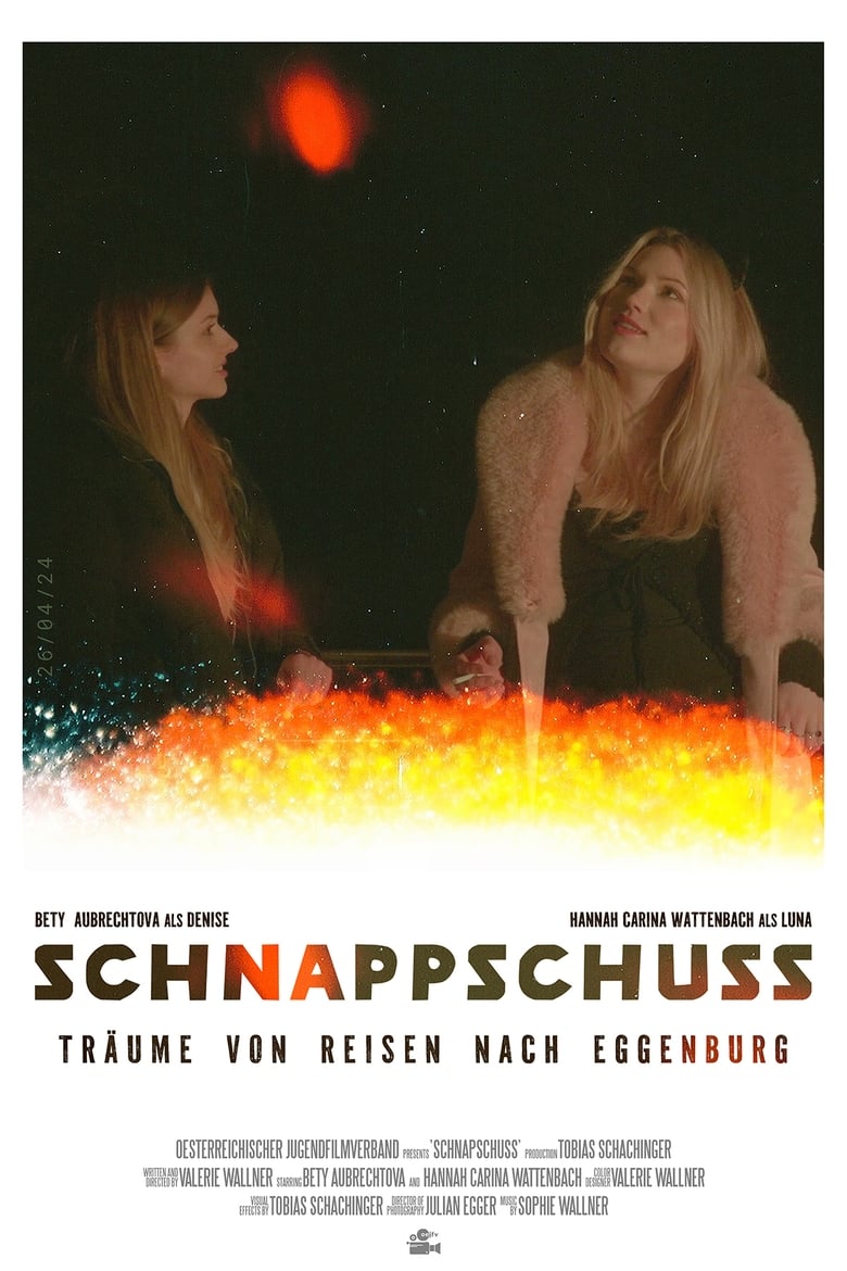 Poster of Schnappschuss