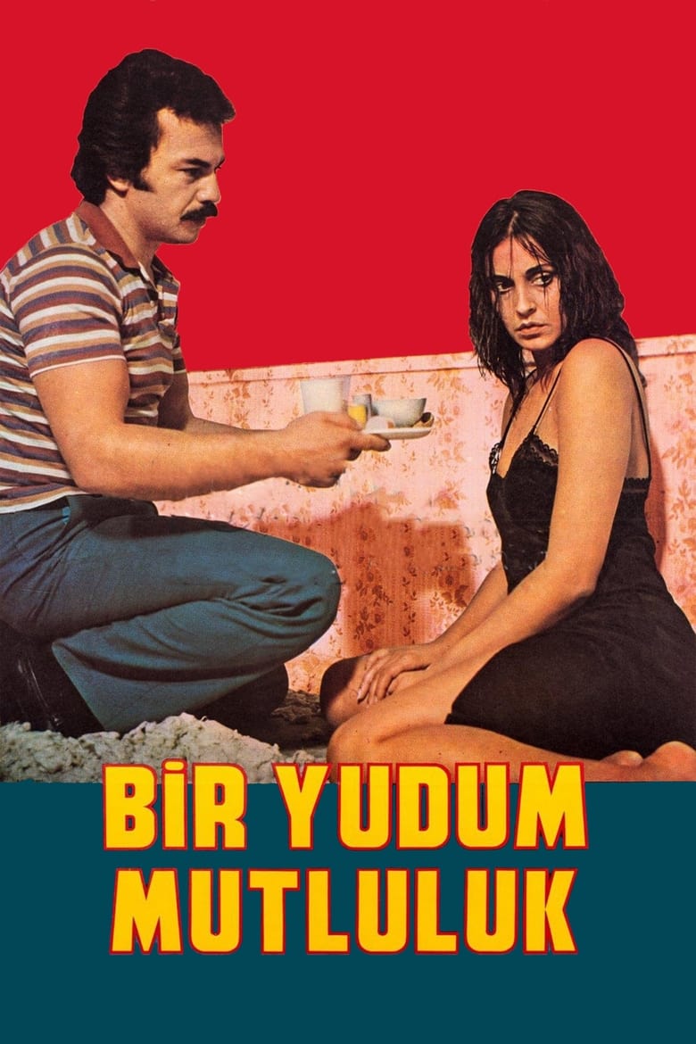 Poster of Bir Yudum Mutluluk