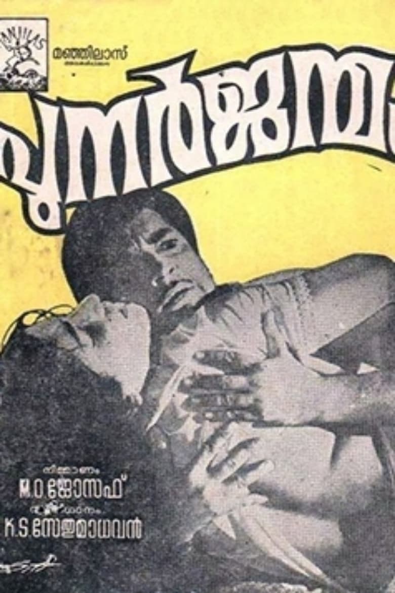 Poster of Punarjanmam