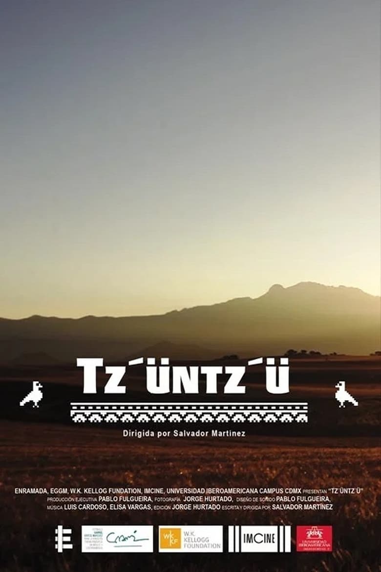 Poster of Tz'üntz'ü