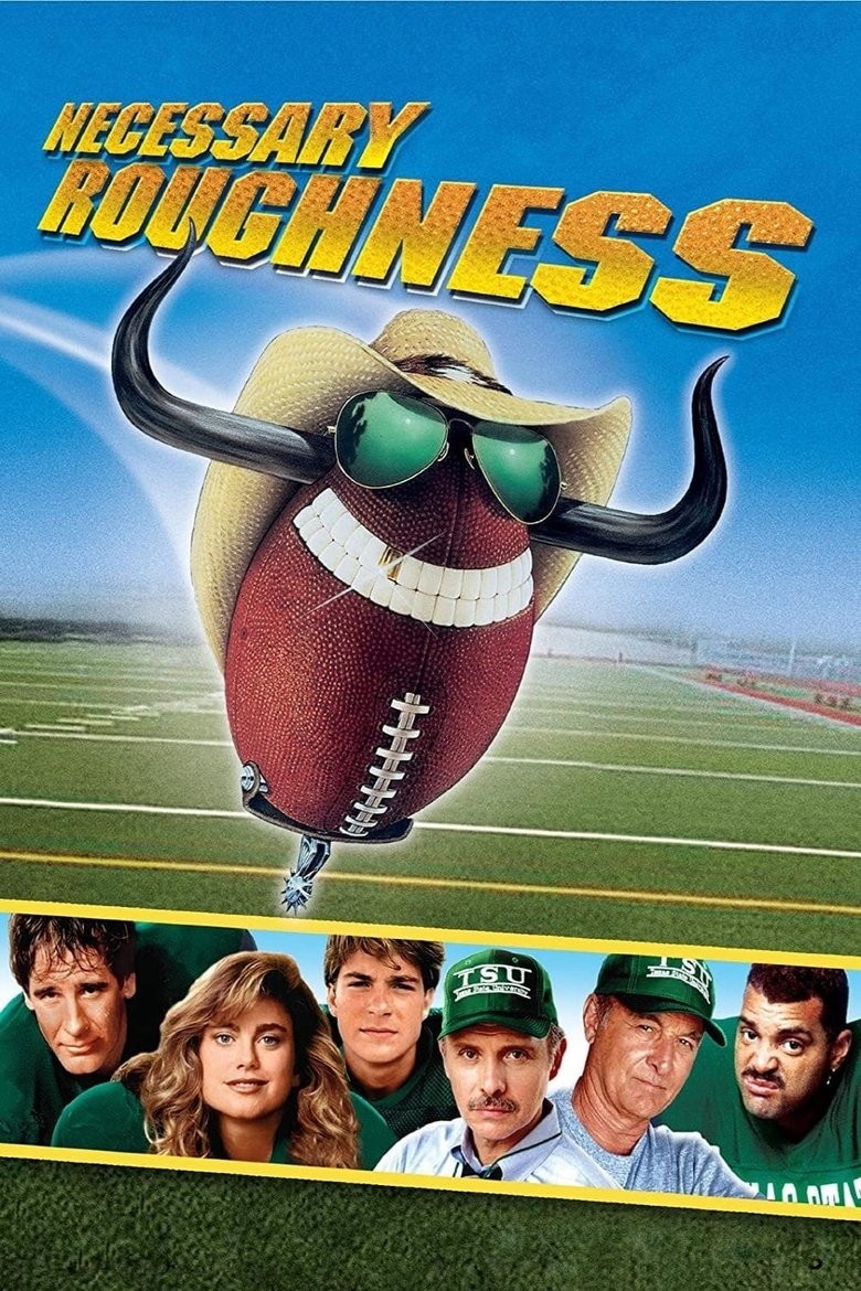 Poster of Necessary Roughness