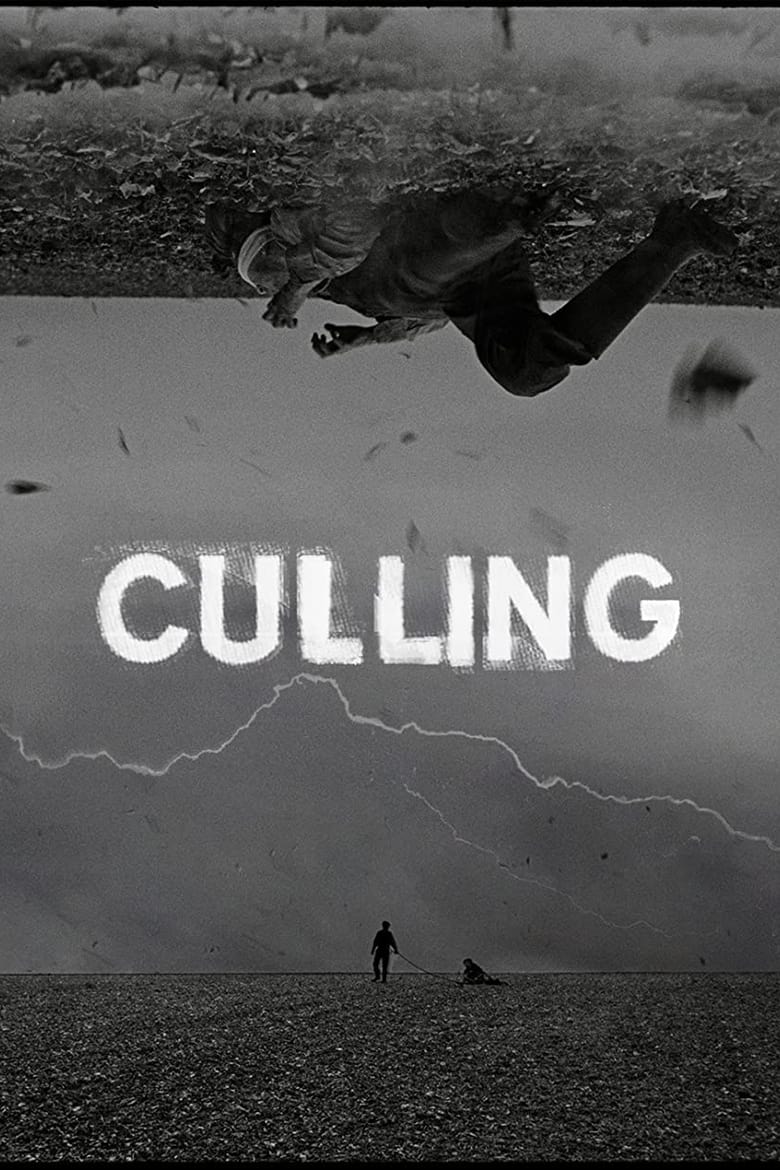 Poster of Culling