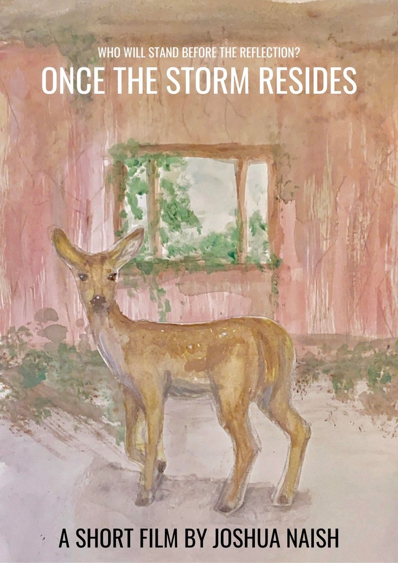 Poster of Once the Storm Resides