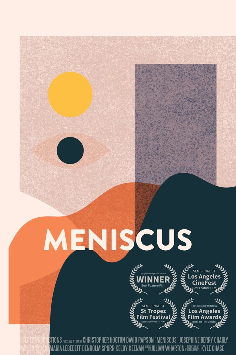 Poster of Meniscus